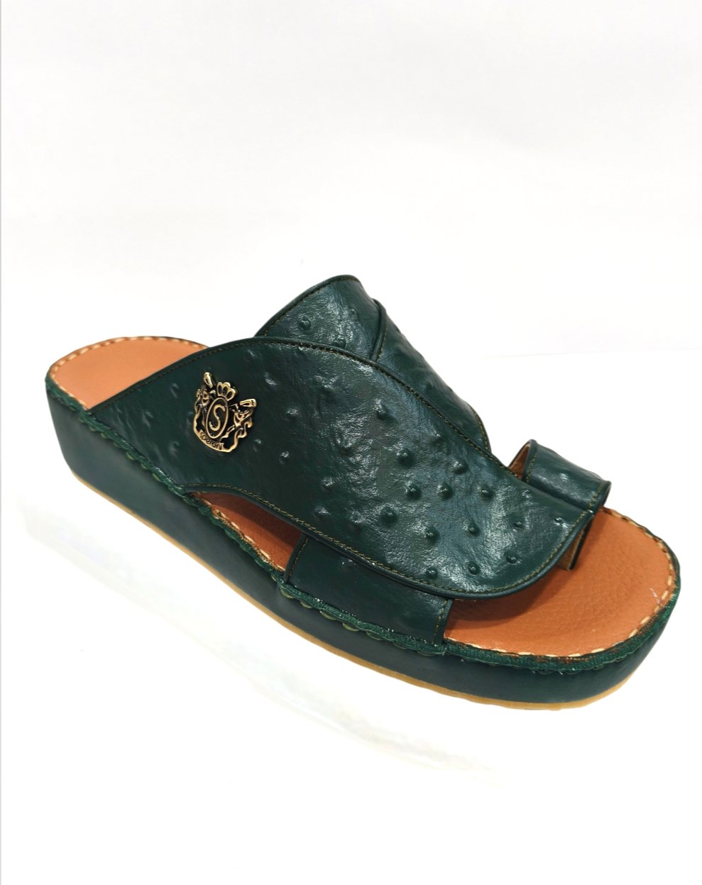 2026/01/1000567694.jpg سيبروني - الصورة 1