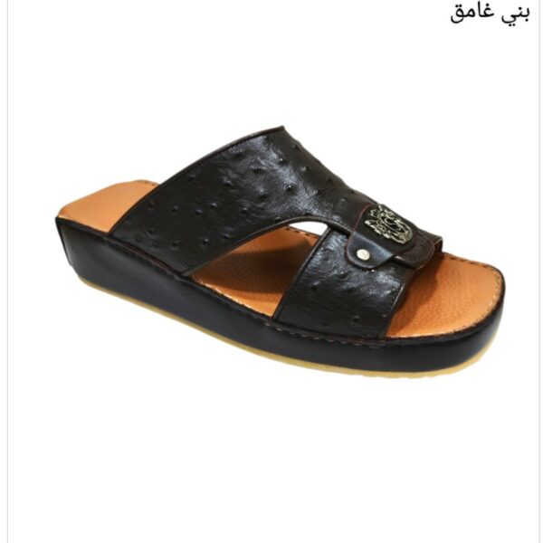سيبروني