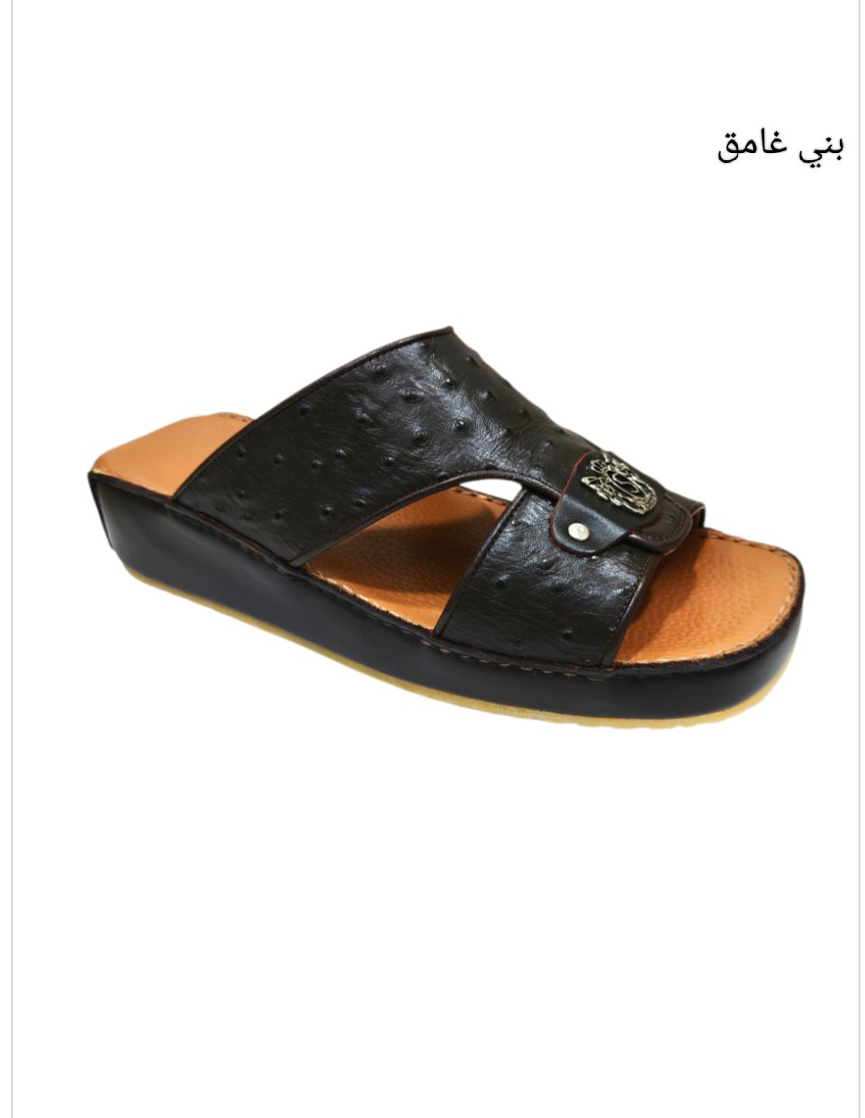 2026/05/1000676677.jpg سيبروني - الصورة 1
